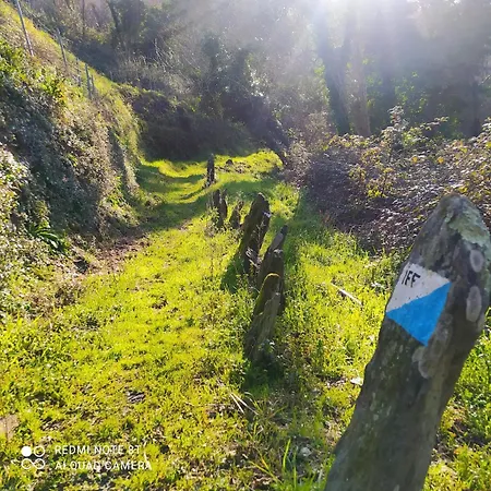 Διαμέρισμα Casa Nonna Rina Ge Liguria *